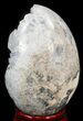 Crystal Filled Celestine (Celestite) Egg - Madagascar #41687-2